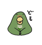 はっぴーインコ2（個別スタンプ：20）