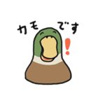 はっぴーインコ2（個別スタンプ：25）