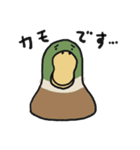 はっぴーインコ2（個別スタンプ：26）