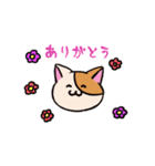 登校班保護者連絡用 うっかり猫 にゃあー（個別スタンプ：1）