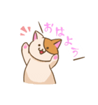 登校班保護者連絡用 うっかり猫 にゃあー（個別スタンプ：3）