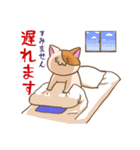 登校班保護者連絡用 うっかり猫 にゃあー（個別スタンプ：4）