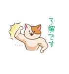 登校班保護者連絡用 うっかり猫 にゃあー（個別スタンプ：5）