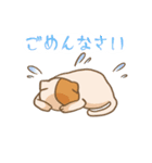 登校班保護者連絡用 うっかり猫 にゃあー（個別スタンプ：6）