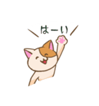 登校班保護者連絡用 うっかり猫 にゃあー（個別スタンプ：10）