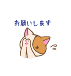 登校班保護者連絡用 うっかり猫 にゃあー（個別スタンプ：12）