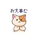 登校班保護者連絡用 うっかり猫 にゃあー（個別スタンプ：13）