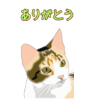 BIGなネコたち40あいさつ（個別スタンプ：2）