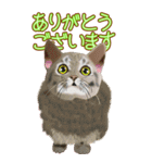 BIGなネコたち40あいさつ（個別スタンプ：3）