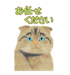 BIGなネコたち40あいさつ（個別スタンプ：9）