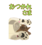 BIGなネコたち40あいさつ（個別スタンプ：17）