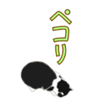 BIGなネコたち40あいさつ（個別スタンプ：21）