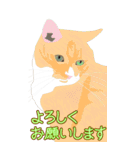 BIGなネコたち40あいさつ（個別スタンプ：23）