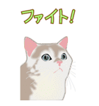 BIGなネコたち40あいさつ（個別スタンプ：26）