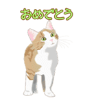 BIGなネコたち40あいさつ（個別スタンプ：28）