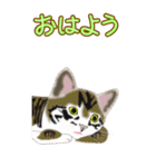 BIGなネコたち40あいさつ（個別スタンプ：31）