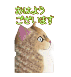 BIGなネコたち40あいさつ（個別スタンプ：32）