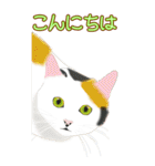 BIGなネコたち40あいさつ（個別スタンプ：33）