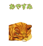 BIGなネコたち40あいさつ（個別スタンプ：35）