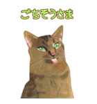 BIGなネコたち40あいさつ（個別スタンプ：38）
