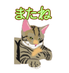 BIGなネコたち40あいさつ（個別スタンプ：40）
