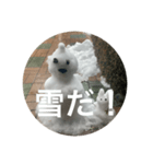 雪だるまできました（個別スタンプ：1）
