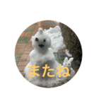雪だるまできました（個別スタンプ：3）