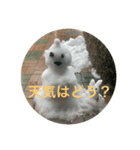 雪だるまできました（個別スタンプ：4）