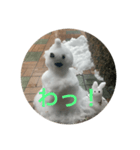 雪だるまできました（個別スタンプ：5）