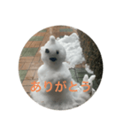 雪だるまできました（個別スタンプ：8）