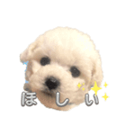 Oiくん（個別スタンプ：8）