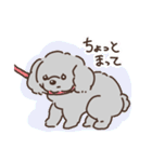 もこもこ優しいいぬスタンプ(敬語あり丁寧)（個別スタンプ：16）