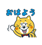 毎日使える！ねこの柑柑(カンカン)スタンプ（個別スタンプ：1）
