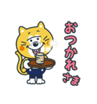 毎日使える！ねこの柑柑(カンカン)スタンプ（個別スタンプ：5）