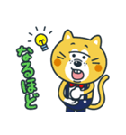 毎日使える！ねこの柑柑(カンカン)スタンプ（個別スタンプ：11）