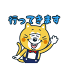 毎日使える！ねこの柑柑(カンカン)スタンプ（個別スタンプ：12）