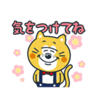 毎日使える！ねこの柑柑(カンカン)スタンプ（個別スタンプ：15）