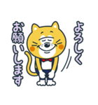 毎日使える！ねこの柑柑(カンカン)スタンプ（個別スタンプ：16）