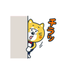 毎日使える！ねこの柑柑(カンカン)スタンプ（個別スタンプ：17）