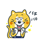 毎日使える！ねこの柑柑(カンカン)スタンプ（個別スタンプ：27）