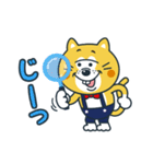 毎日使える！ねこの柑柑(カンカン)スタンプ（個別スタンプ：34）