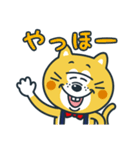 毎日使える！ねこの柑柑(カンカン)スタンプ（個別スタンプ：35）