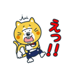毎日使える！ねこの柑柑(カンカン)スタンプ（個別スタンプ：39）