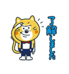 毎日使える！ねこの柑柑(カンカン)スタンプ（個別スタンプ：40）