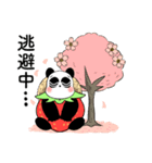 【春】いちご多めの麦わらパンダスタンプ（個別スタンプ：14）