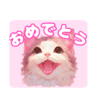 ファンシーにゃんこのあいさつスタンプ（個別スタンプ：17）