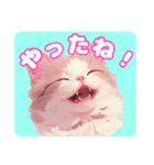 ファンシーにゃんこのあいさつスタンプ（個別スタンプ：31）