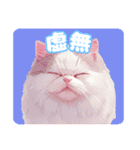 ファンシーにゃんこのあいさつスタンプ（個別スタンプ：32）