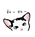 こっちゃんの、日常茶飯事（個別スタンプ：1）