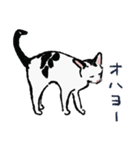 こっちゃんの、日常茶飯事（個別スタンプ：2）